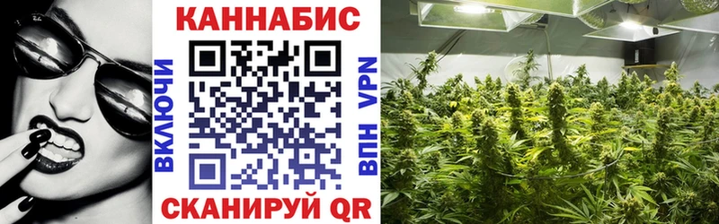 как найти наркотики  Ирбит  Шишки марихуана семена 